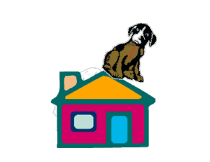 dog on roof of house