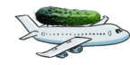 cucumber on an airplane