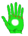 hand with 6 fingers
