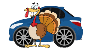 turkey in front of car