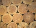 cut up logs