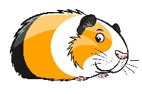 guinea pig cartoon