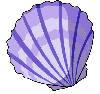 purple shell