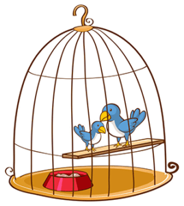 bird cage cartoon