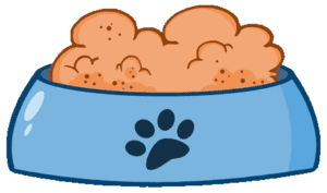 dog bowl